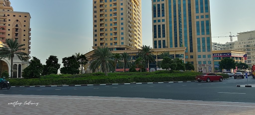 Typical homes in Dubai Silicon Oasis