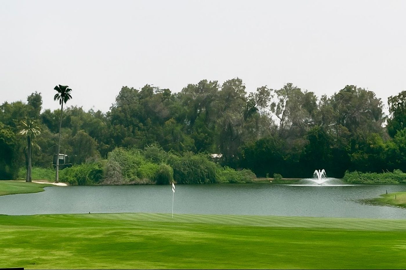 Typical homes in Emirates Hills